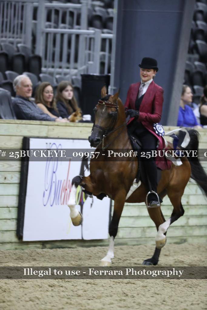 Proof 25BUCKEYE_09957