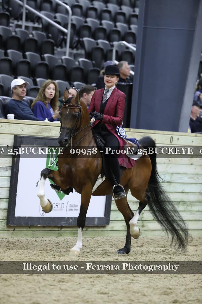 Proof 25BUCKEYE_09958