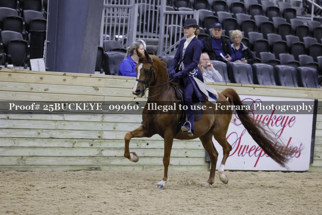 Proof 25BUCKEYE_09960