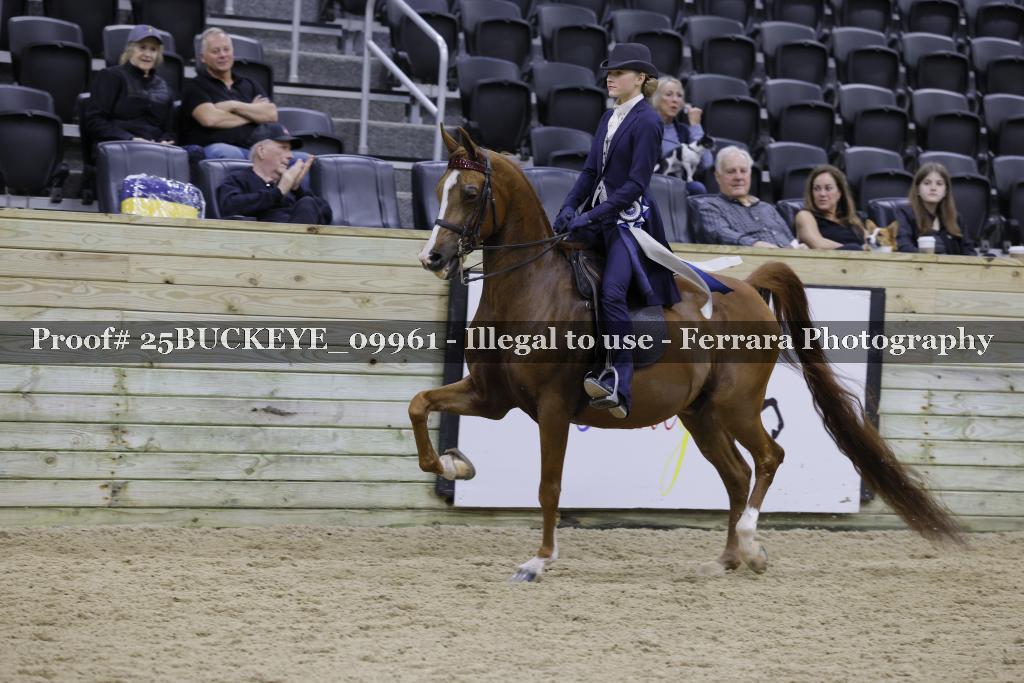Proof 25BUCKEYE_09961