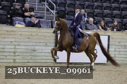25BUCKEYE_09961 proof