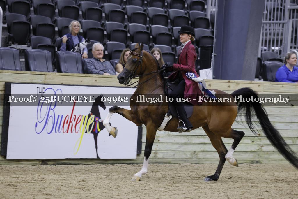 Proof 25BUCKEYE_09962