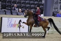25BUCKEYE_09962 proof
