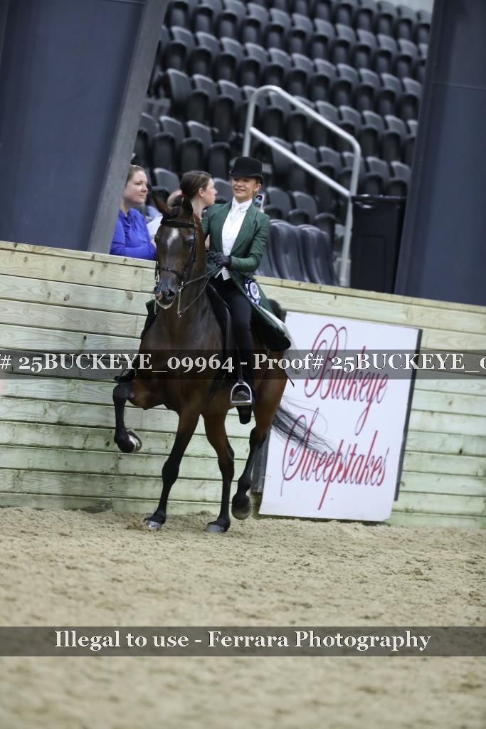 Proof 25BUCKEYE_09964
