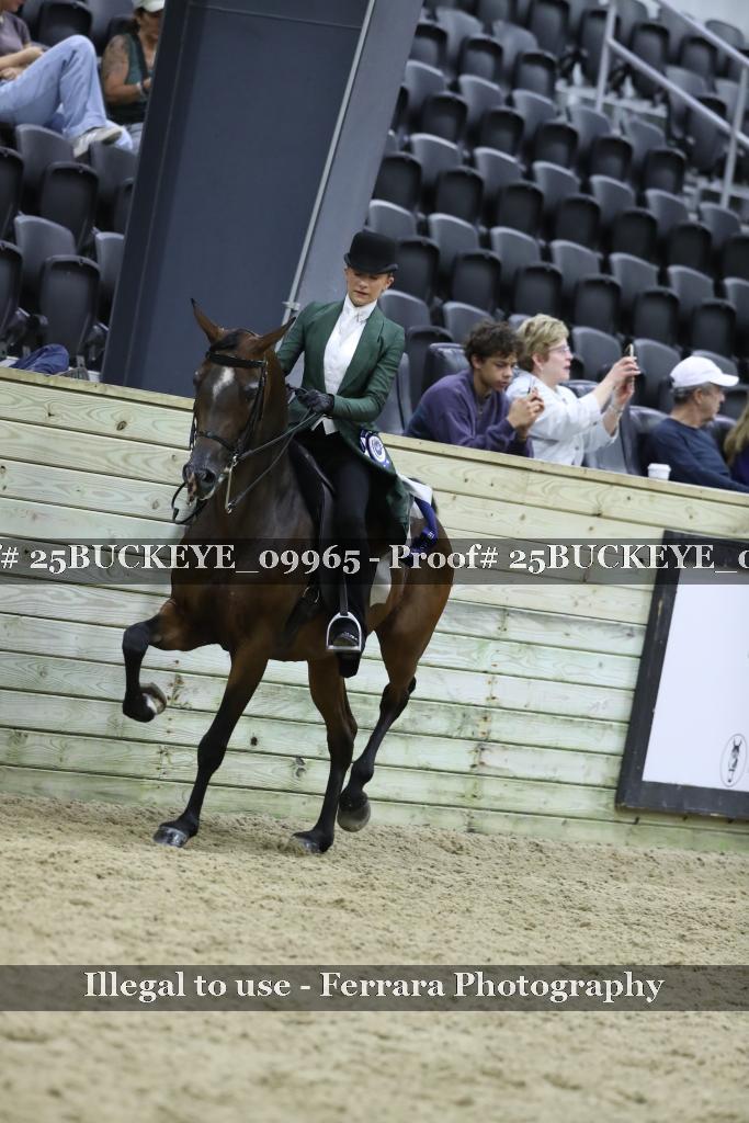 Proof 25BUCKEYE_09965