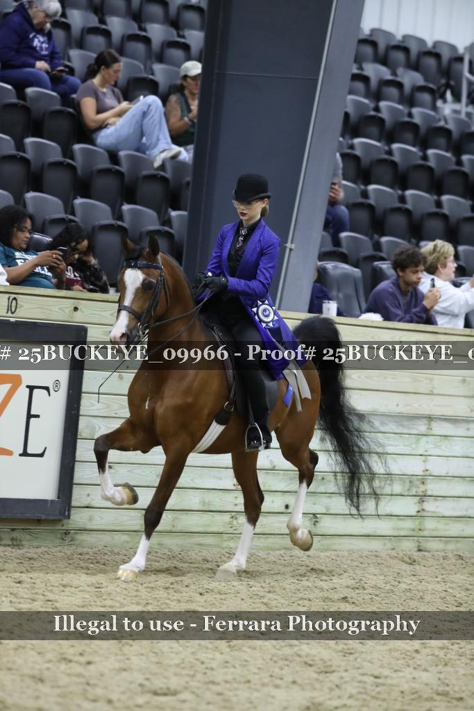 Proof 25BUCKEYE_09966