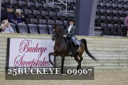 25BUCKEYE_09967 proof