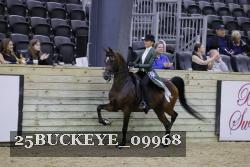 25BUCKEYE_09968 proof