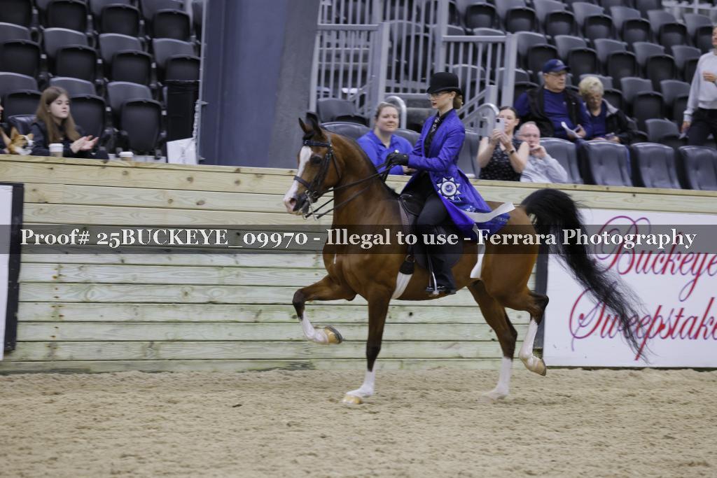 Proof 25BUCKEYE_09970
