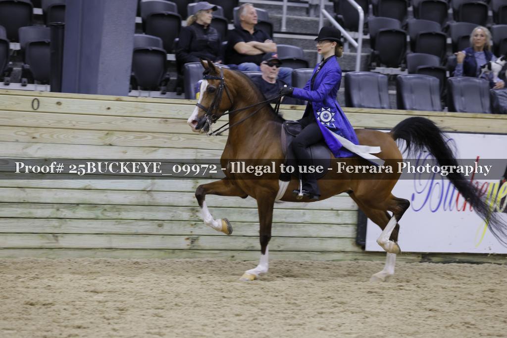 Proof 25BUCKEYE_09972