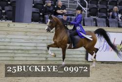 25BUCKEYE_09972 proof