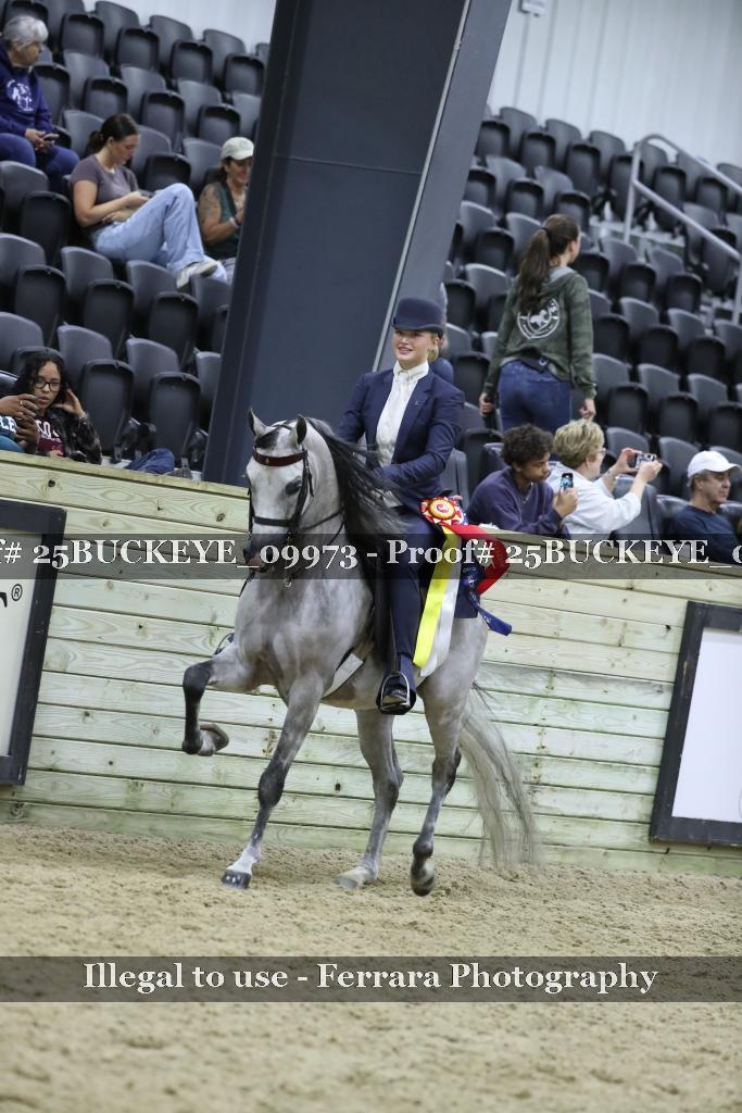 Proof 25BUCKEYE_09973