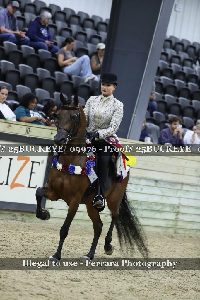 Proof 25BUCKEYE_09976