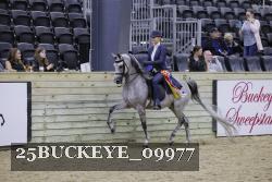25BUCKEYE_09977 proof
