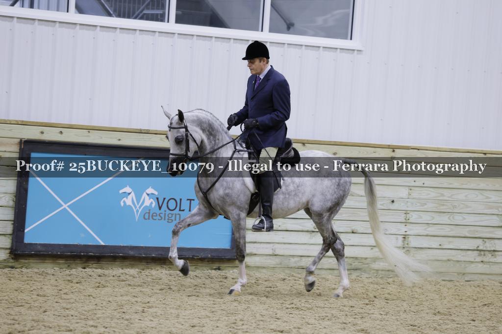 Proof 25BUCKEYE_10079