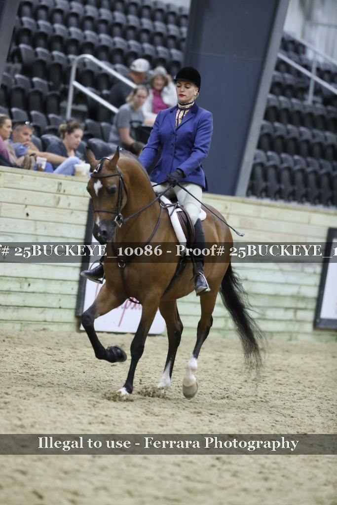 Proof 25BUCKEYE_10086
