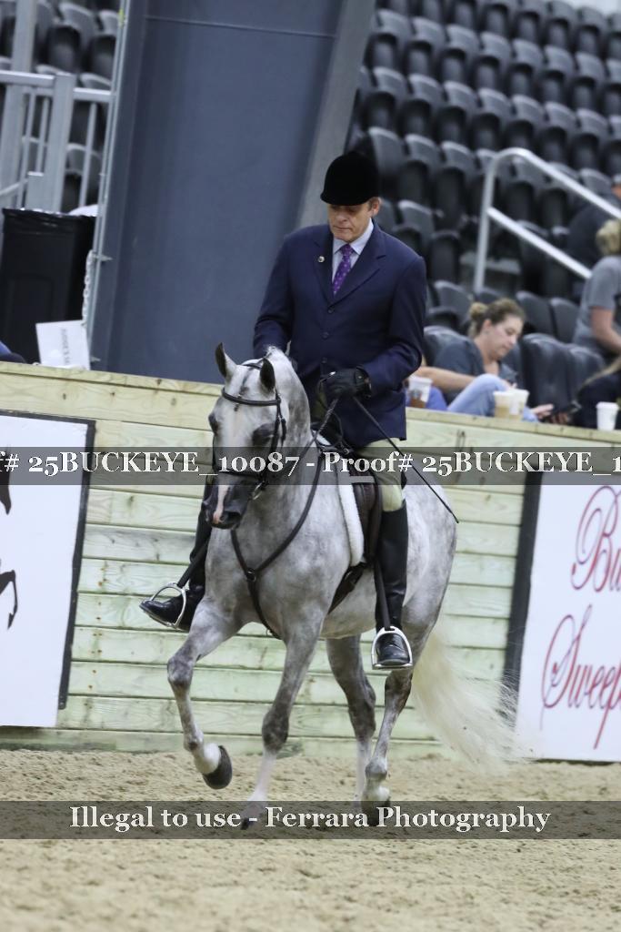 Proof 25BUCKEYE_10087