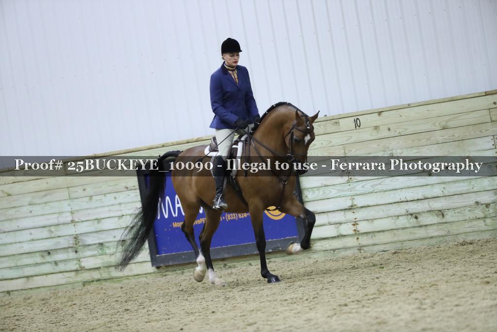 Proof 25BUCKEYE_10090