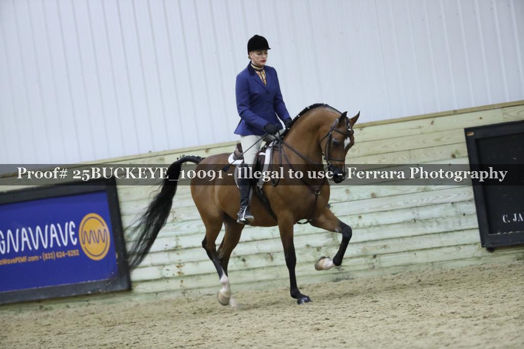 Proof 25BUCKEYE_10091
