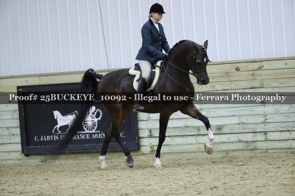 Proof 25BUCKEYE_10092