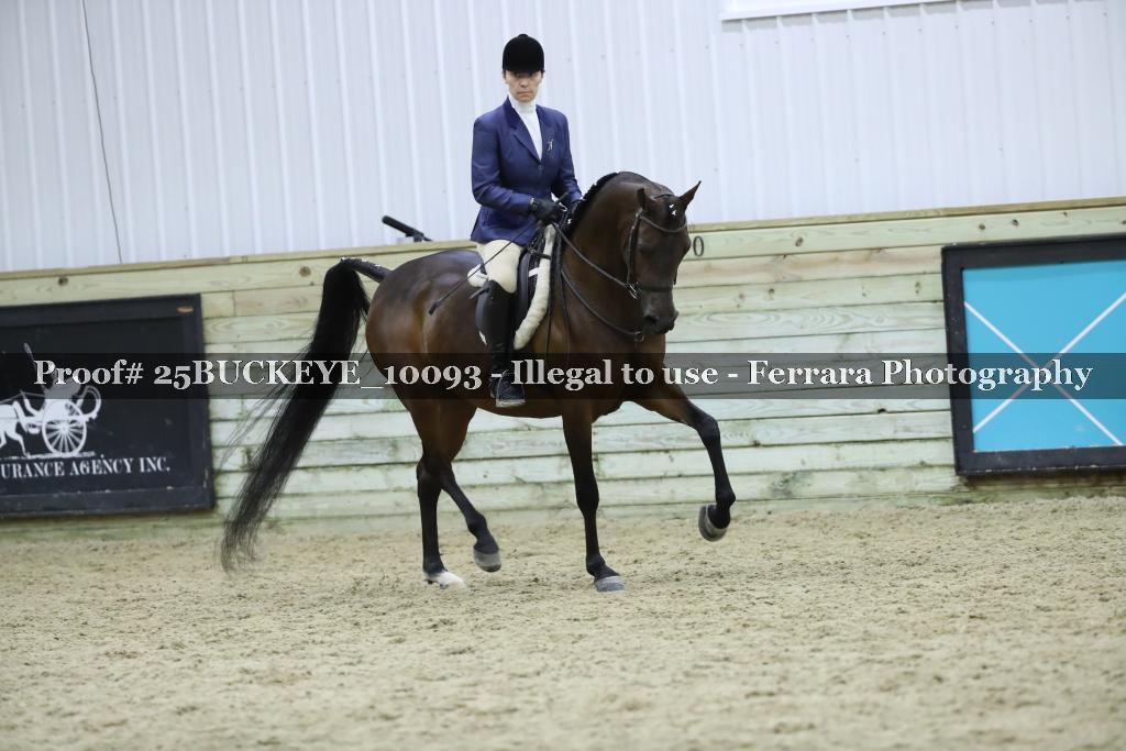 Proof 25BUCKEYE_10093