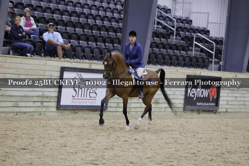 Proof 25BUCKEYE_10102