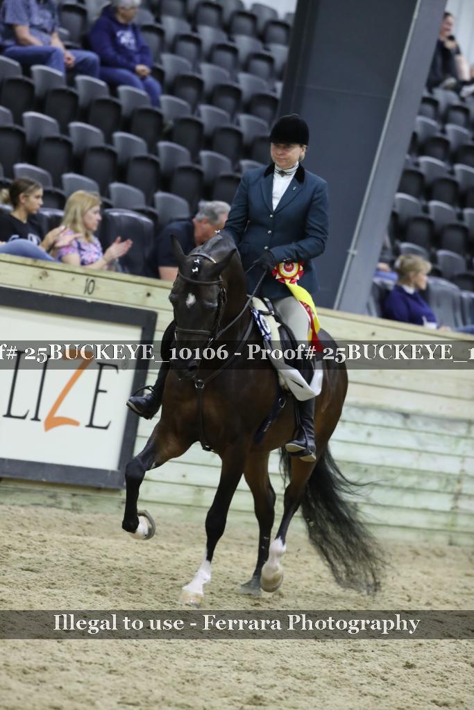 Proof 25BUCKEYE_10106