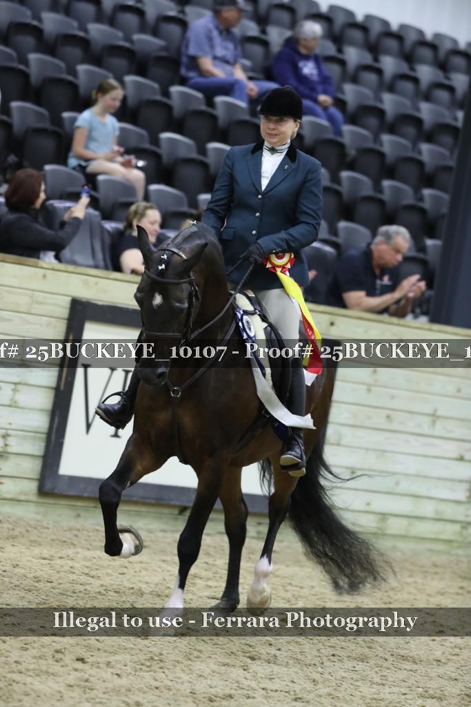 Proof 25BUCKEYE_10107