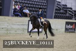 25BUCKEYE_10111 proof