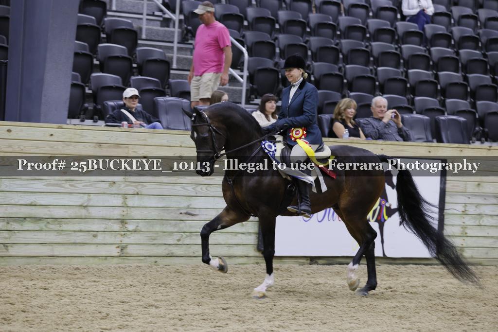 Proof 25BUCKEYE_10113