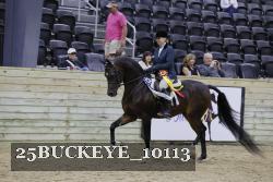 25BUCKEYE_10113 proof