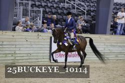 25BUCKEYE_10114 proof
