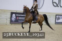 25BUCKEYE_10341 proof