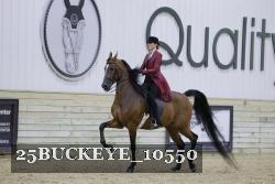 25BUCKEYE_10550 proof