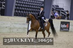 25BUCKEYE_10656 proof
