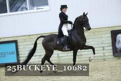 25BUCKEYE_10682 proof