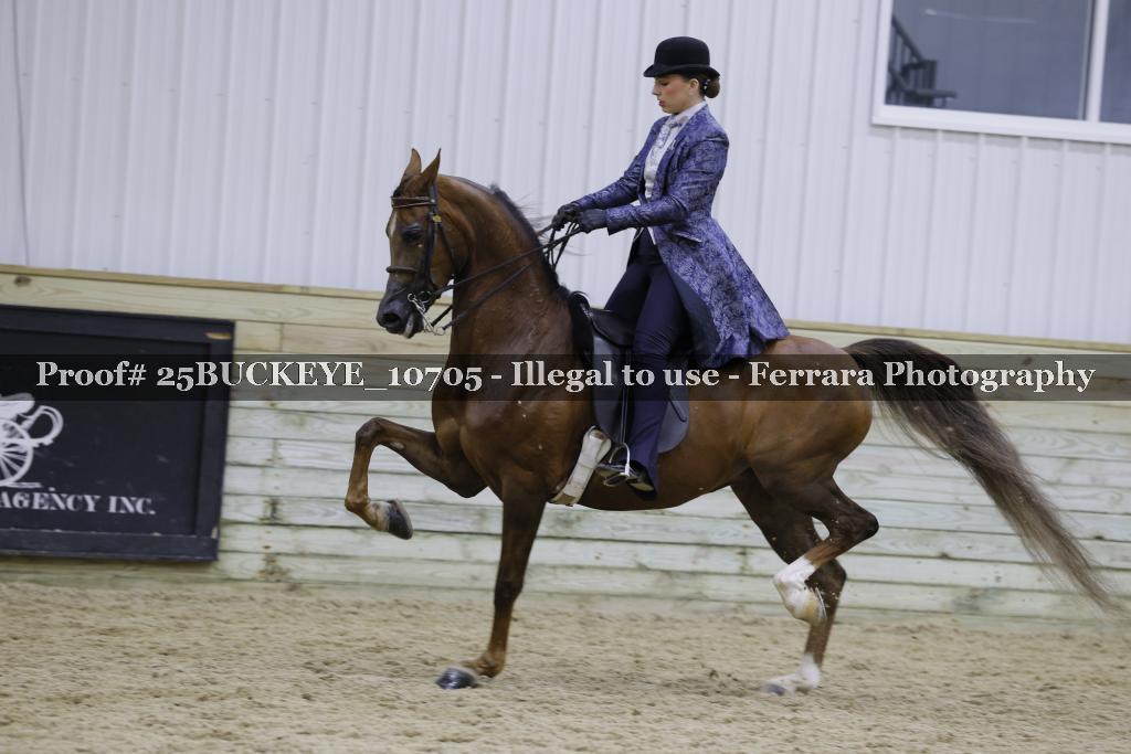 Proof 25BUCKEYE_10705