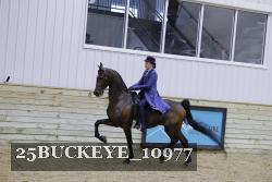25BUCKEYE_10977 proof