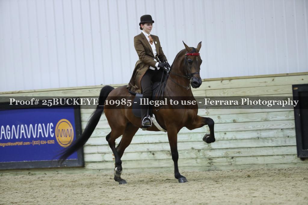 Proof 25BUCKEYE_10985