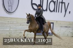 25BUCKEYE_11031 proof