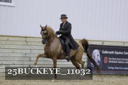 25BUCKEYE_11032 proof