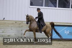25BUCKEYE_11034 proof