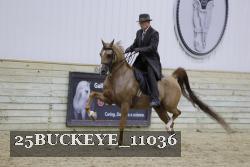25BUCKEYE_11036 proof