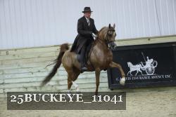25BUCKEYE_11041 proof