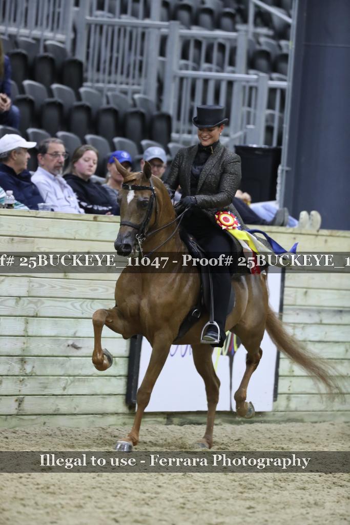 Proof 25BUCKEYE_11047