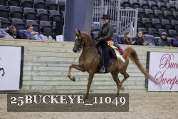 25BUCKEYE_11049 proof