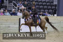 25BUCKEYE_11053 proof