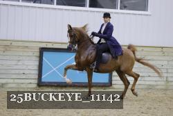 25BUCKEYE_11142 proof