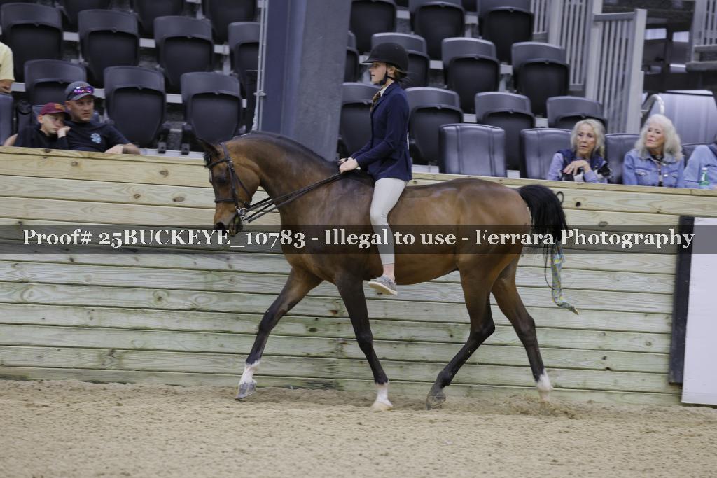 Proof 25BUCKEYE_10783