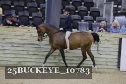 25BUCKEYE_10783 proof